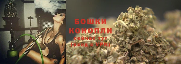 спайс Бородино