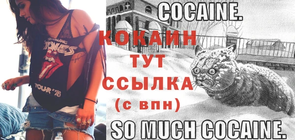 PSILOCYBIN Бугульма