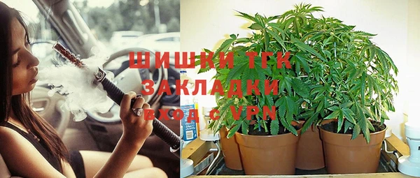 спайс Бородино