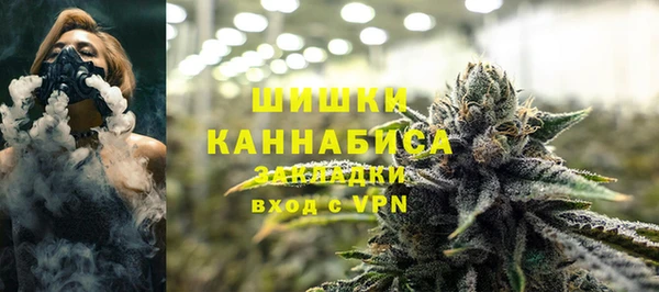 спайс Бородино