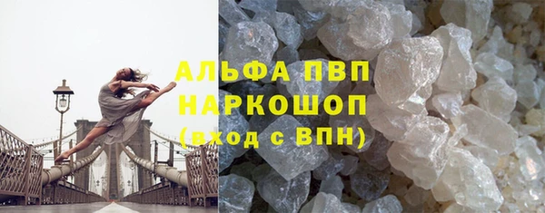 спайс Бородино