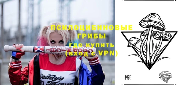 спайс Бородино