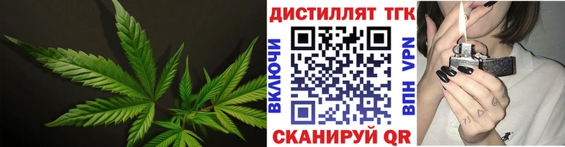 дарк нет как зайти Знаменск ТГК концентрат